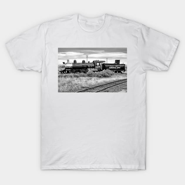 Cumbres and Toltec Railyard T-Shirt by bobmeyers